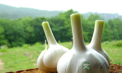 吃蒜有什么好处 吃大蒜的好处多达12个