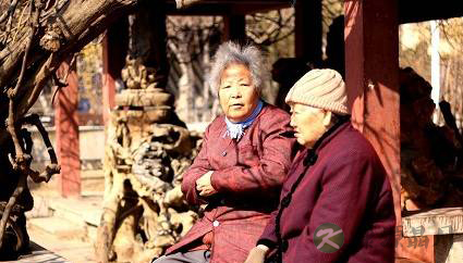 立冬养生全攻略