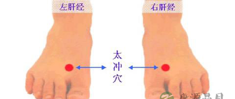 一穴治四病 按太冲穴可治偏头痛