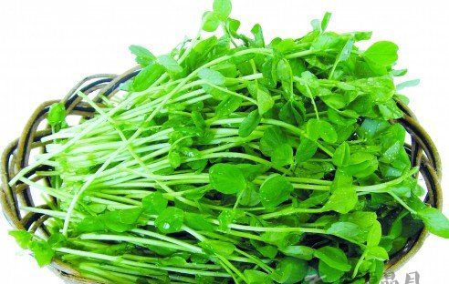 春季养生6件事 保护健康抗衰老