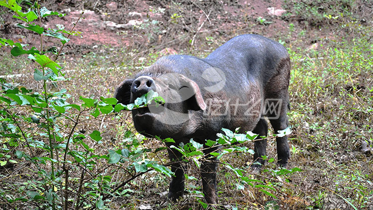 女人30岁后营养计划全攻略
