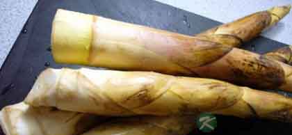 规避蔬菜禁忌　守住身体健康