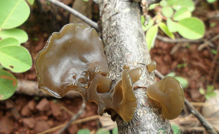 女人30岁后营养计划全攻略