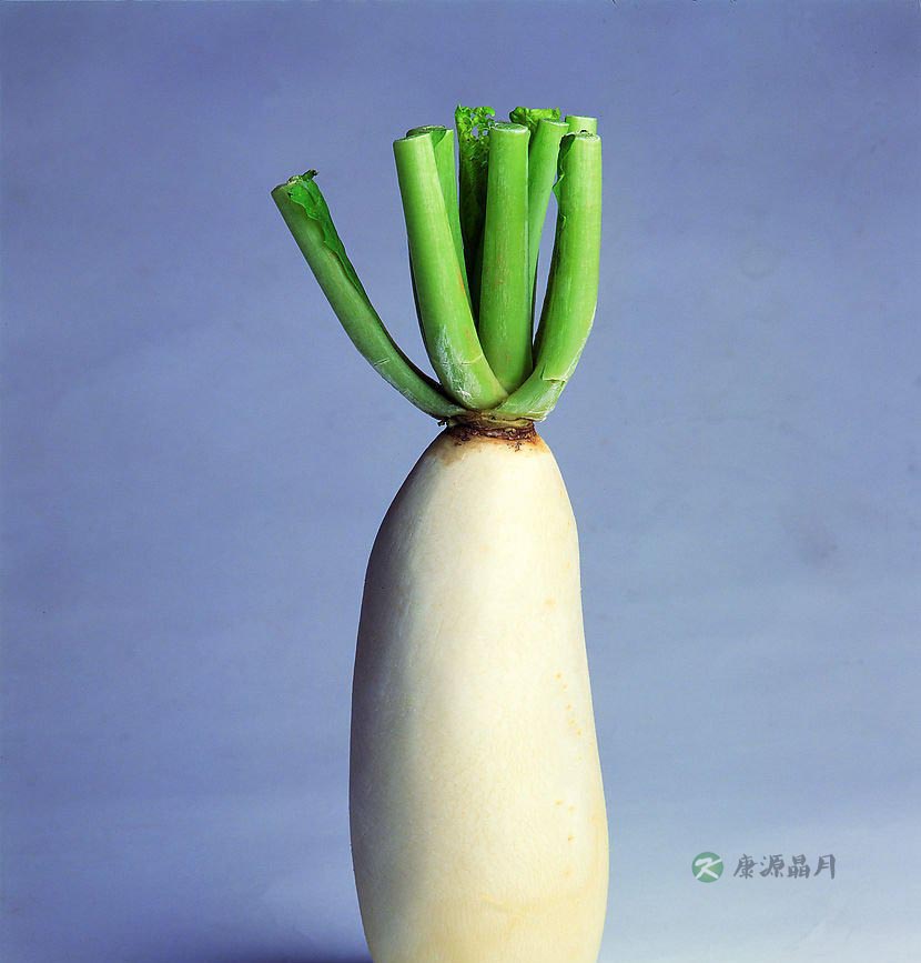 初春吃萝卜可抗癌强身