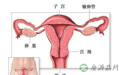 提醒 女性乳腺癌有三大征兆 提醒 女性乳腺癌有三大征兆