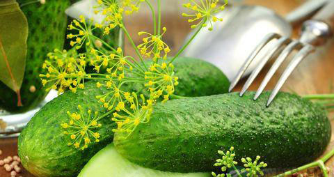 黄瓜吃法不对会有损健康