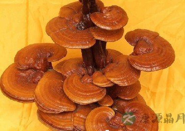 日常注意5个细节保持精力充沛