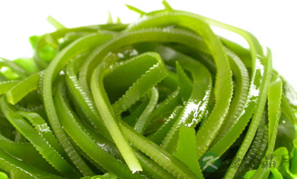 如何防辐射 多吃防辐射食物