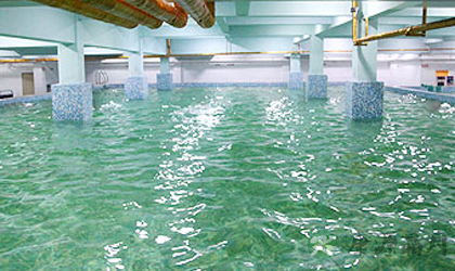 暴雨后 饮食需谨慎