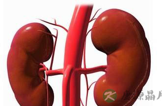 年轻女性警惕肾病来袭