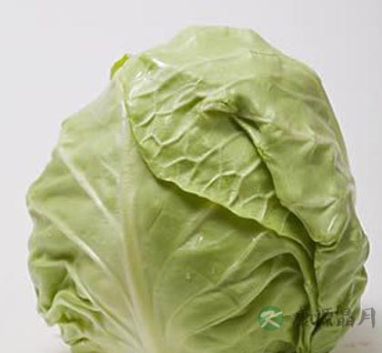 多吃蔬菜能远离骨质疏松