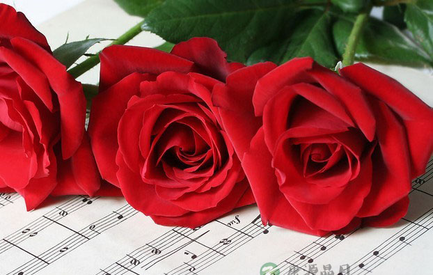 音乐养生的11个神奇功效