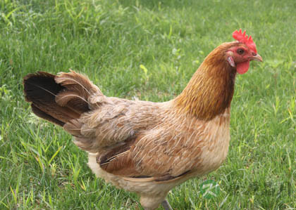 养生误区需警惕