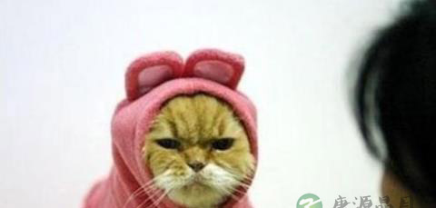 生气不能做什么 生气不该做的10件事 生气不能做什么 生气不该做的10件事