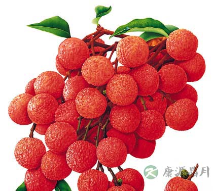 早餐吃好有助女性养颜