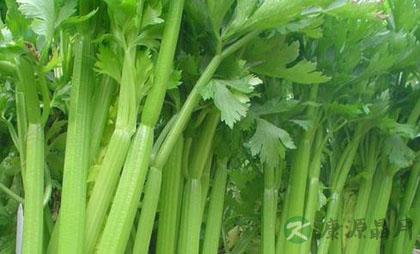 春季如何调养肝火旺盛