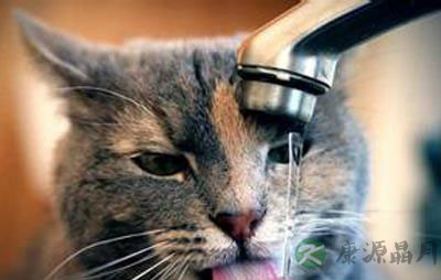 怎样才能让你爱上喝水 怎样才能让你爱上喝水