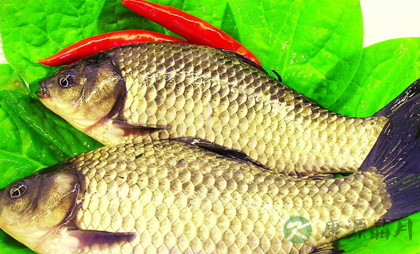 小编为你盘点七类健脾的食物