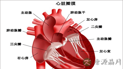 引发高血压的病因都有什么