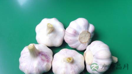 4道大蒜食谱!常吃治病又防癌 4道大蒜食谱!常吃治病又防癌