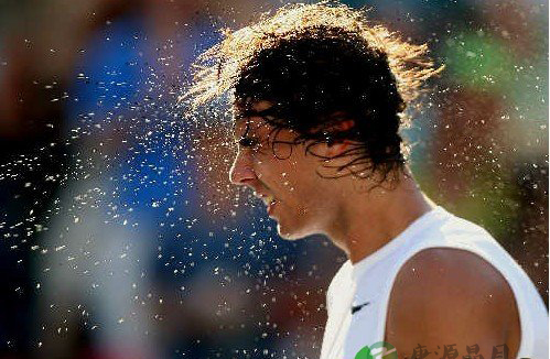 有关新陈代谢的11个真相