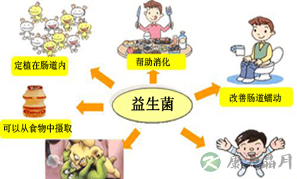 益生菌被夸大其词 常人勿特殊补充