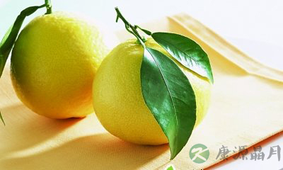 清洁家中空气的五大妙招