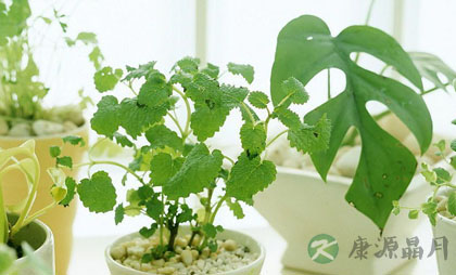 谨防电脑辐射九个流言