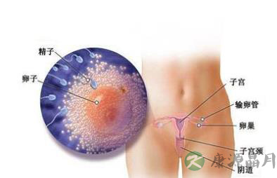 提醒 慢性宫颈炎有四大危害