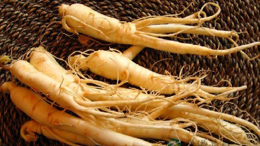 补品有哪些 盘点十大补品使用禁忌