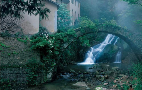 自检 8个健康标准看你是否符合