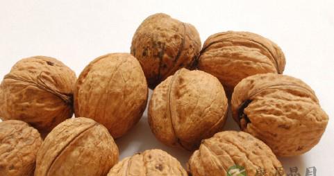 益智补脑食物盘点 为公务员考试加油 益智补脑食物盘点 为公务员考试加油