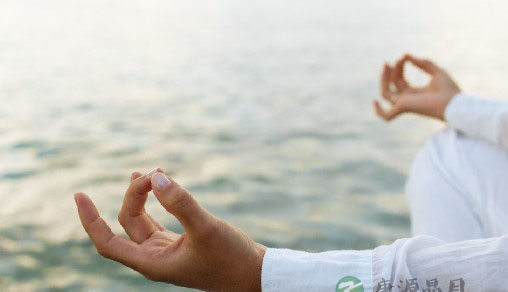 养肾为养生之重 十个最有效的养肾方 养肾为养生之重 十个最有效的养肾方