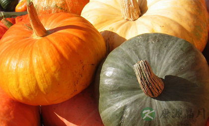 吃什么养胃:六种蔬菜促进夏季养胃 吃什么养胃:六种蔬菜促进夏季养胃