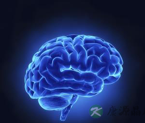 提醒!大脑退化有五个危险信号 提醒!大脑退化有五个危险信号