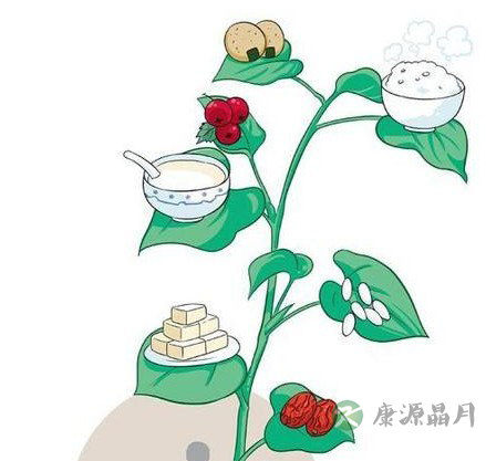 夏季保健不妨中药入菜