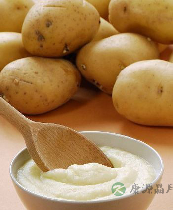 最适合人养生的食物