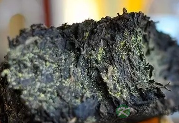 黑茶为什么能快速消除油腻