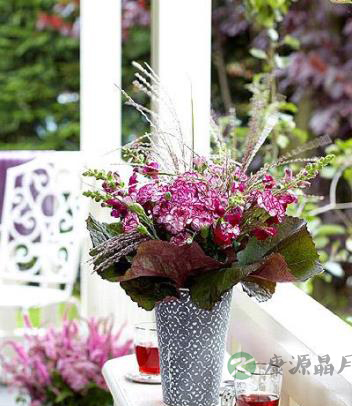 罗布麻绿茶辅助治疗高血压 高血脂症 眩晕症等功效