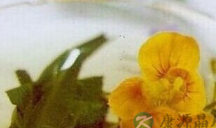 男人喝花茶攻略