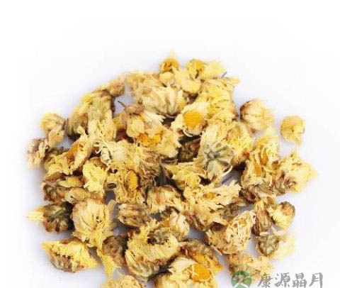 菊花茶治疗风热头痛功效