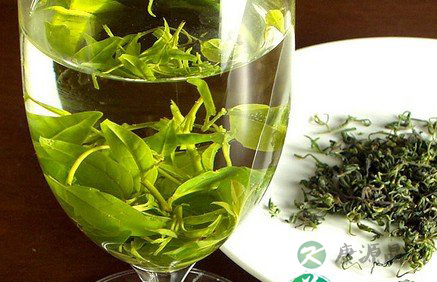口腔异味怎么办？常喝苦丁茶可去异味
