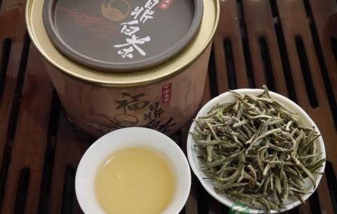 常喝白毫银针茶有什么好处?