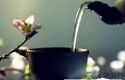 茶中蕴五行 养生有讲究