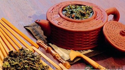 五种茶的神奇养生功效