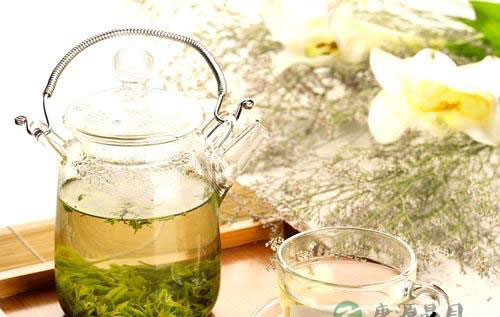 治疗急性咽炎选用蜂蜜苦丁茶