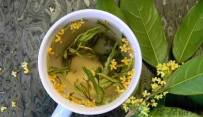 多喝桂花茶 美白排毒