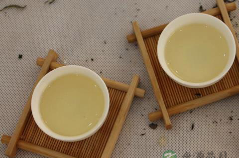饮用绿茶之绿茶冲泡方法