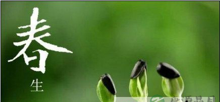 春季养生 从润肝喝水开始