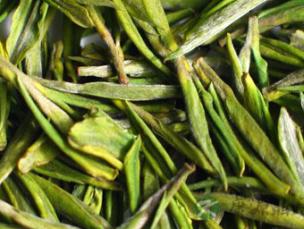 白茶为什么是个宝，牙疼都不怕